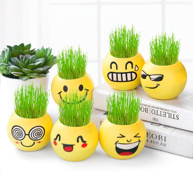 The plant's face is 20